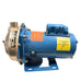 Goulds MCS  Pump