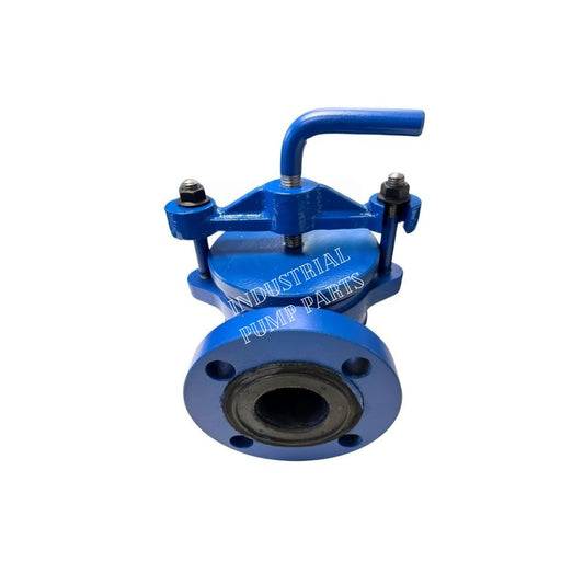 Quick Opening Check Valve Assembly  ODS Pump P20054-18A